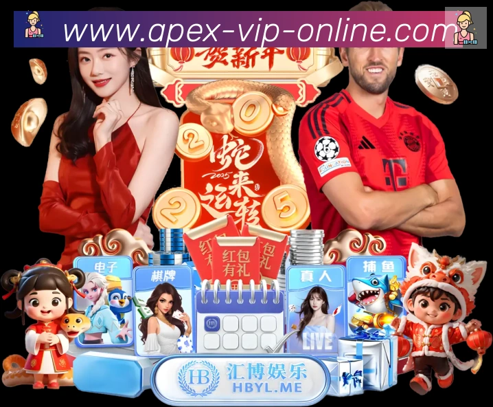 多媒体互动体验